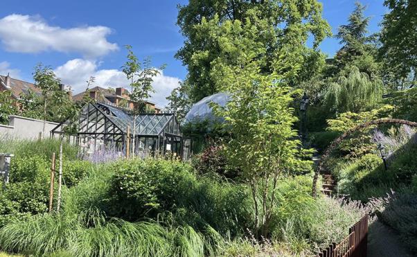 garden